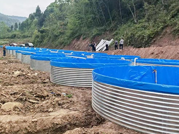 帆布鱼池3米能养多少鱼你知道吗？
