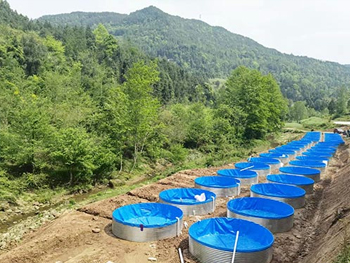 使用帆布鱼池养鱼的注意事项有哪些你知道吗？